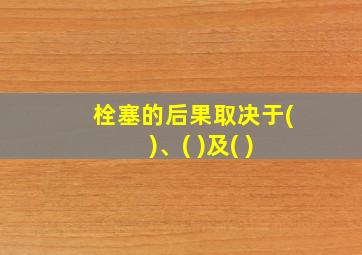 栓塞的后果取决于( )、( )及( )